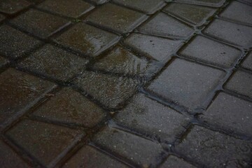 paving stones in the rain texture