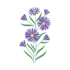 Cute hand drawn illustration of blooming aster flowers in flat vector style. Delicate petals and green leaves add charm and softness. Great for cards, prints, and packaging.