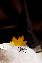 Black plastic spider crawling on fake spiderweb for halloween party decoration