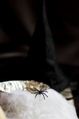 Obraz premium Black spider crawling on fake spiderweb with witch hat in background