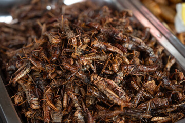 A Thai street food market stall selling fried grasshoppers, high in protein and considered a sustainable food source, Bangkok, Thailand,