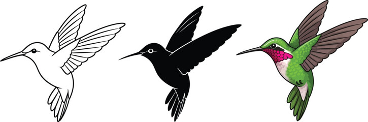 Obraz premium Three hummingbirds in flight silhouette and color