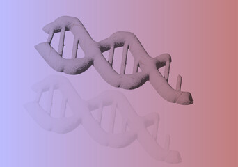 Modern 3D DNA Double Helix Model