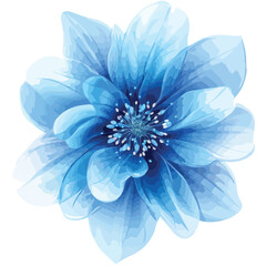 Obraz premium Blue Flower on White Background