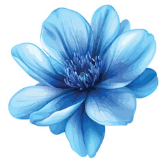 Obraz premium Blue Flower Masterpiece on White Background