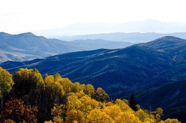 autumn landscape in the mountains, mountains in layers, yellow and blue landscape, Uinta Mountains Fall Landscape, Utah Mountains Fall Landscape