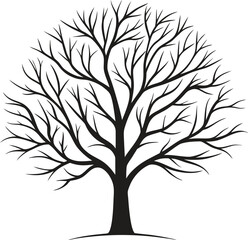 Obraz premium Bare tree branches silhouette winter