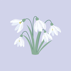 Cute hand-drawn snowdrop flowers in a flat style. Delicate white blooms symbolize spring. Perfect for floral design, decor, and seasonal projects.