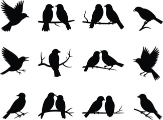 Bird Silhouette Collection – Flying, Perched, and Interactive Avian Poses in Vector Format for Nature Art and Ornithology Themes