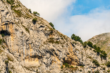 Paisaje en Bulnes, Picos de Europa.