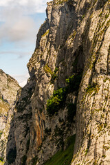 Paisaje en Bulnes, Picos de Europa.