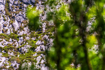 Paisaje en Bulnes, Picos de Europa.