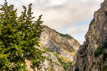 Paisaje en Bulnes, Picos de Europa.