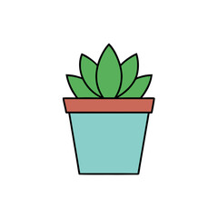 cactus in flowerpot