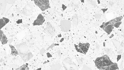 Terrazzo marbled floor texture in black and white showcasing polished granite stone. Terrazzo texture with black and gray fragments on white background for modern interior design style.  © Song Long