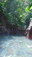 Dans la forêt tropicale, la rivière coule entre de gros rochers