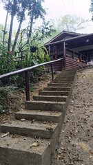 Casa no meio do mato.natureza