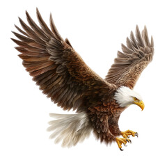 Obraz premium Powerful eagle in flight. Detailed illustration of a soaring bald eagle with outstretched wings. Sharp talons and rich brown, white plumage