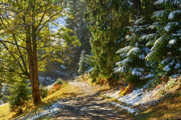 autumn scenery with first frosts in the mountains