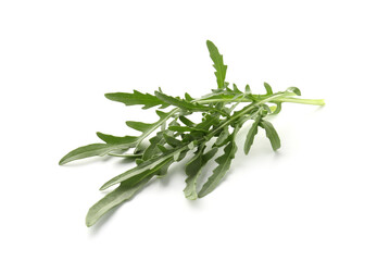 Fresh ripe green arugula leaves isolated on white