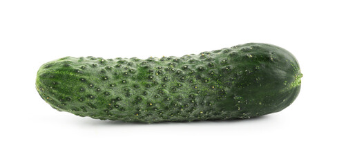 One fresh green cucumber isolated on white