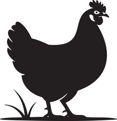 Black Chicken Silhouette Standing on Grass Farm Animal Poultry Hen Domestic Bird Illustration Graphic Vector Design