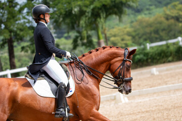 Young Female Equestrian Riding Chestnut Horse in Dressage Arena