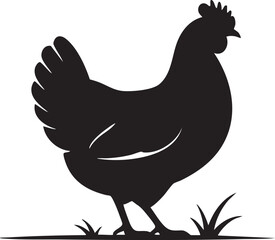 Black Silhouette of a Chicken Standing on Grass Isolated on White Background Farm Animal Vector Illustration Poultry Icon
