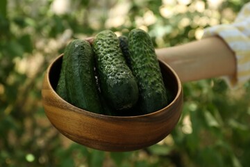 Woman with bowl of fresh cucumbers against blurred green background, closeup