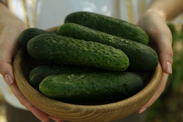 Woman with bowl of fresh cucumbers against blurred green background, closeup