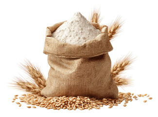 Sack of flour with wheat