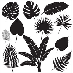 Tropical Leaf Silhouettes: Collection of Black and White Plant Illustrations