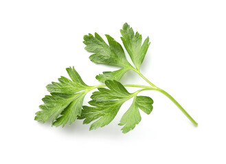 Sprig of fresh parsley isolated on white