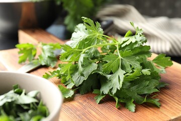 Fresh aromatic parsley on wooden board, closeup