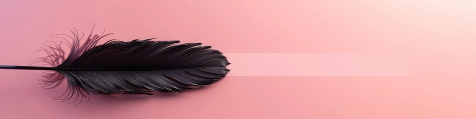 Serene composition of a delicate black feather with reflection on a pink gradient