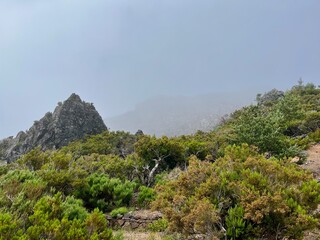 Wanderung vom Wanderparkplatz Achada do Teixeira zum Pico Ruivo, dem höchsten Berg von Madeira