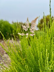 Wanderung vom Wanderparkplatz Achada do Teixeira zum Pico Ruivo, dem höchsten Berg von Madeira