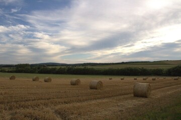 hay bales in the field
