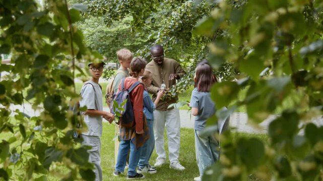 African American young male botanist and group of diverse pre-teenagers examining tree leaves while experiencing outdoor learning activity on summer day