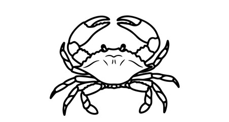 Simple crab outline vector illustration for seafood design projects and educational coloring pages projects