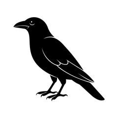 Silhouette a crow perched on bird animal