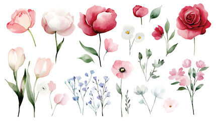 Extensive Watercolor Floral Set Vector with Transparent Background for Creative Projects and PNG Overlays