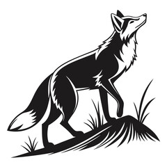 wolf vector illustration