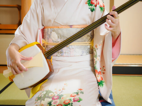 三味線（写真参照に）③ 三味線（写真参照に）③ 三味線（写真参照に）③