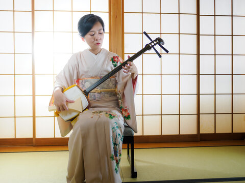 三味線（写真参照に）③ 三味線」の写真素材 | 2,969件の無料イラスト画像 | Adobe Stock