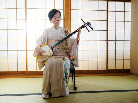 三味線」の写真素材 | 3,056件の無料イラスト画像 | Adobe Stock
