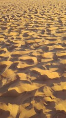 Golden sand texture background with footprints and shadows during a beautiful sunrise or sunset. Expansive view of a beach or desert floor, creating a warm and natural abstract pattern.