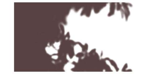 Leafy plant shadow, abstract nature-inspired overlay casting soft filtered light for warm visual decor and gentle artistic interior layout design
