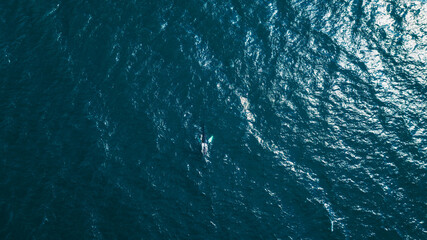 Aerial View of a Whale Surfacing in the Deep Blue Ocean of Iceland
