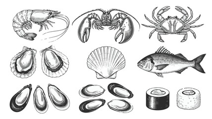 Hand Drawn Seafood Collection Featuring Shrimp Lobster Crab Fish Oysters Mussels Scallop and Sushi